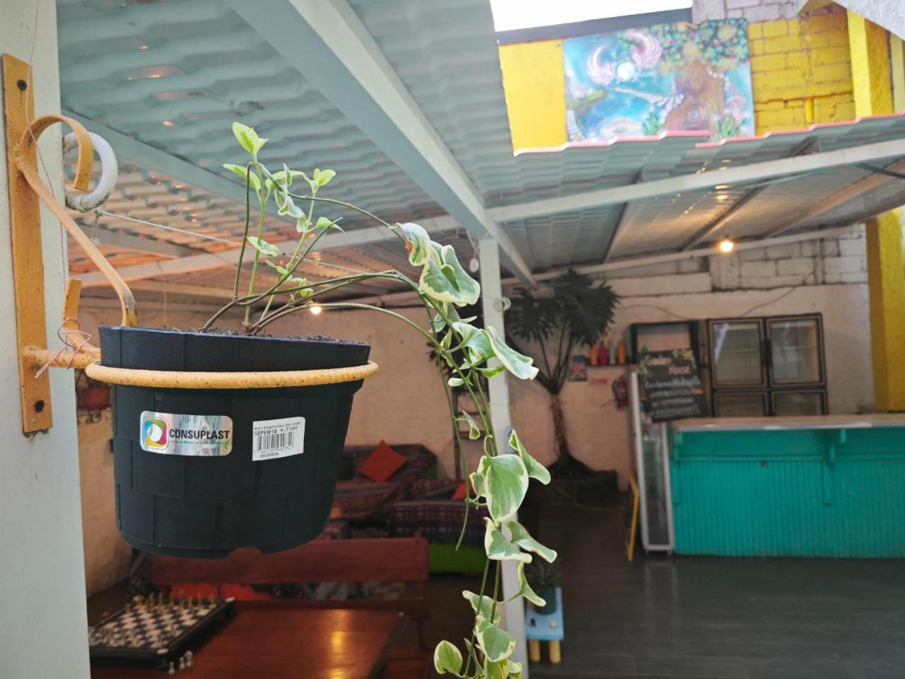 Garden House Hostal Banos  Exterior photo